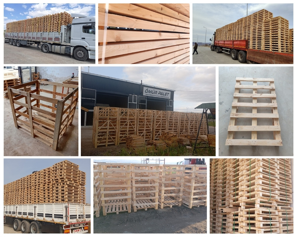 Praze an Beeble Wooden Pallets, Buy Wooden Pallets Wholesale